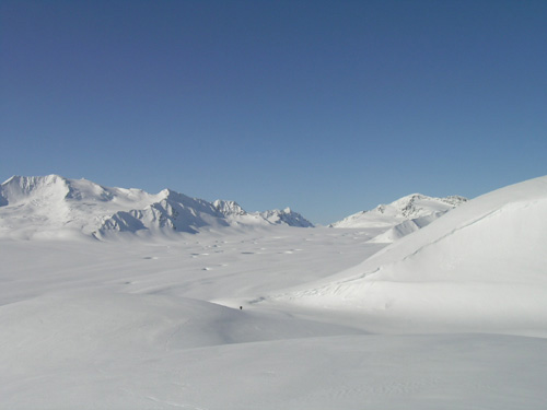 jpg Black Rapids Glacier