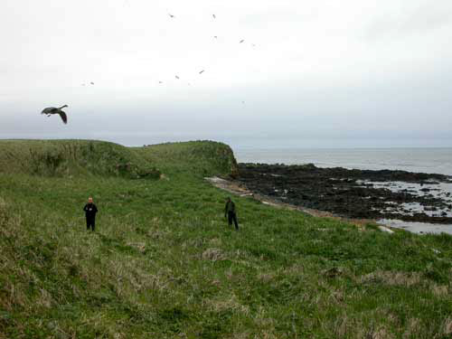 jpg Nizki Island