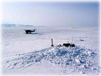 Pesticide traces found in Alaska wilderness...