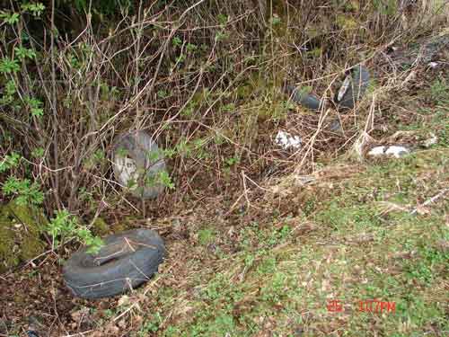 jpg short sighted tire dumping