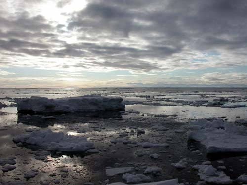 jpg northern sea ice