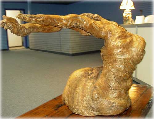 jpg Ram Burl