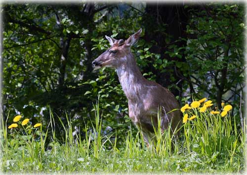 Front Page Photo by JIM LEWIS