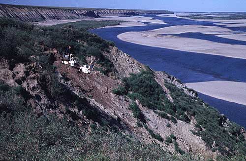 jpg Scientists work at a dinosaur bone quarry on Alaska's North Slope.