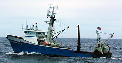 jpg NOAA TO AGAIN CONDUCT GULF OF ALASKA BOTTOM TRAWL SURVEY