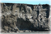 Far north permafrost cliff is one of a kind