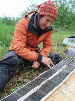 jpg Examination of lake sediment core from southern Alaska shows intricate layering indicating environmental and climatic changes over centuries.