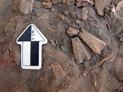 jpg Bone pendants found at the Mead archaeological site in Interior Alaska.