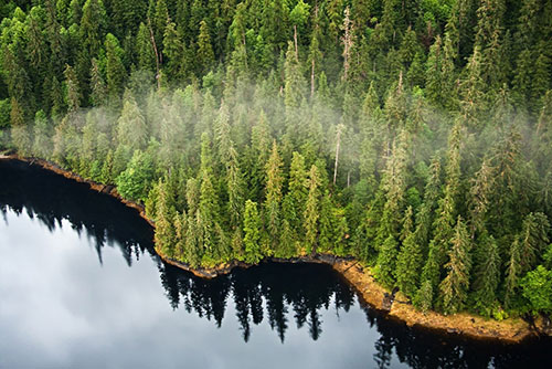 jpg Tongass Advisory Committee Releases Recommendations for Forest Management on the Tongass 