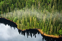 Tongass Advisory Committee Releases Recommendations for Forest Management on the Tongass