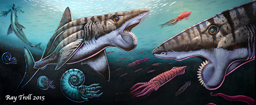jpg Rare buzz saw shark fossil returns to Alaska