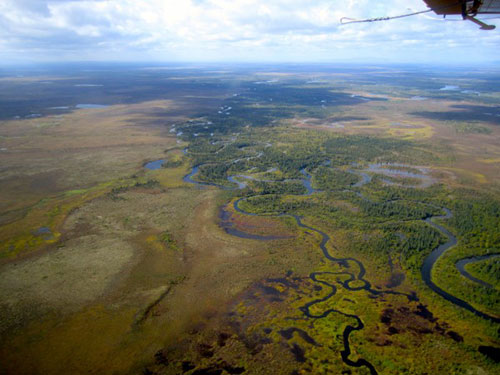 jpg This tributary stream feeds the upper Nushagak River.