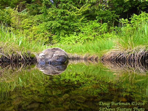 Front Page Feature Photo By DOUG BURKMAN 