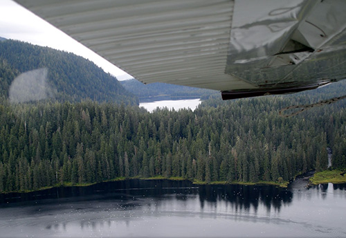 jpg Pilot uninjured in plane crash near Ketchikan 