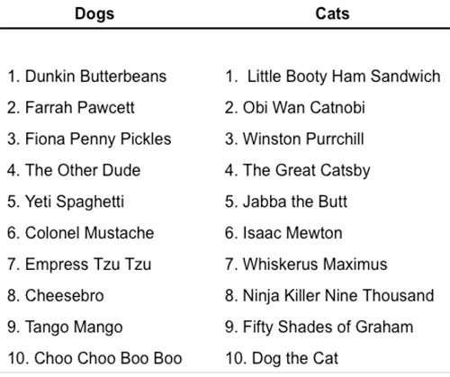 Below are the 10 Wackiest Dog and Cat Names of 2017: