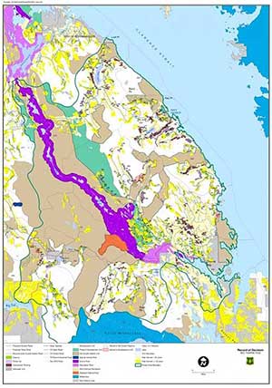 jpg Ninth Circuit Court Clears Way for Big Thorne Timber Project