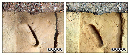 jpg These images were used to create photogrammetric models of the footprint from the Swan Point archaeological site. 
