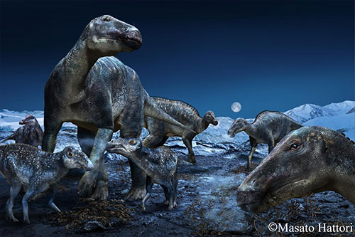jpg Arctic Edmontosaurus lives again -- a new look at the 'caribou of the Cretaceous' 