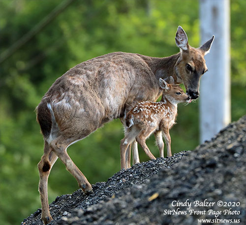 Front Page Feature Photo By CINDY BALZER