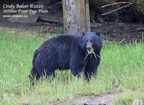 Front Page Feature Photo By CINDY BALZER