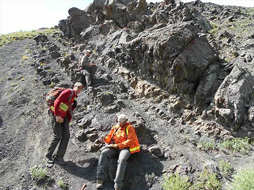 Precipitation helped drive distribution of Alaska dinosaurs 