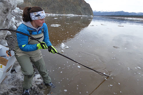 jpg Liz Richards, a USGS hydrologic technician, pulls an anchor attached to a river-level measuring device from the Yukon River just downstream of Eagle, Alaska.