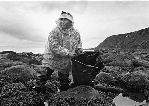 jpg Jesse Paul of Kipnuk is wearing a seal gut parka as he collects herring roe on seaweed on nearby Nelson Island in 1981