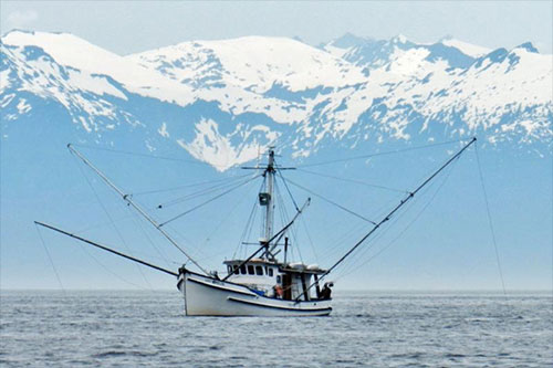 jpg NOAA Fisheries Announces Recent Actions in the Southeast Alaska Salmon Fishery Case 