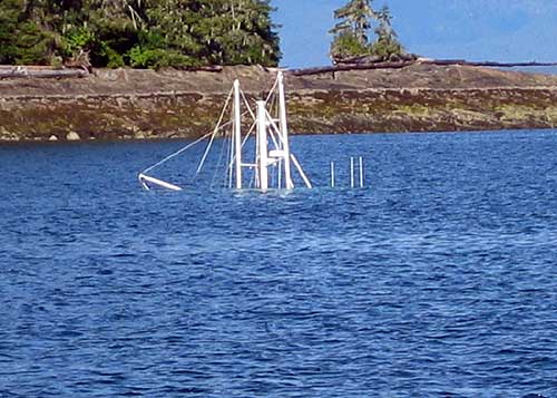 photo sailboat Hayden