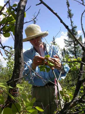 jpg ecologist Diane Wagner