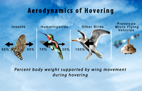 jpg aerodynamics of hovering
