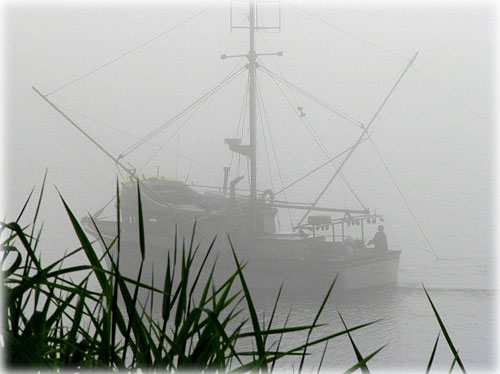 jpg Foggy Morning Fishing