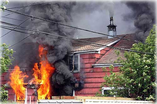 Eight Puppies Rescued From Burning Home Front Page Photo by Cindy Balzer