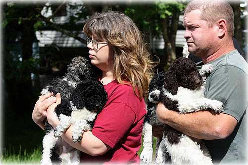 jpg Rescued pups