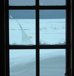 jpg The broken window of the Kinnvika research station