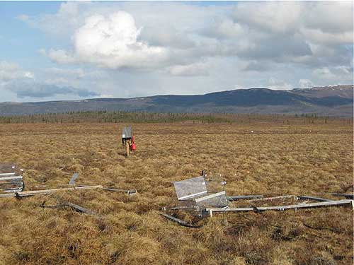 jpg Christian Trucco walking off the permafrost