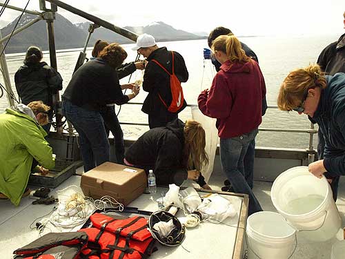 jpg phytoplankton and zooplankton sampling