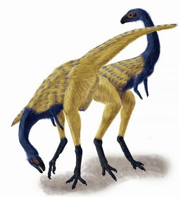 jpg Beaked, bird-like dinosaur tells story of finger evolution