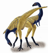 Beaked, bird-like dinosaur tells story of finger evolution 