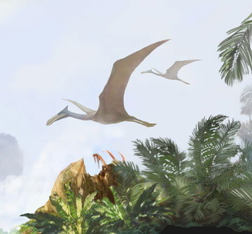 jpg A pterosaur, like the one that left a track in Denali National Park