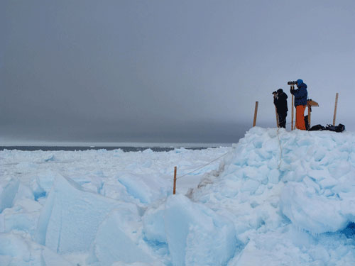 jpg Biologists Leslie Pierce and Craig George search for migrating whales on an ice perch north of Barrow.