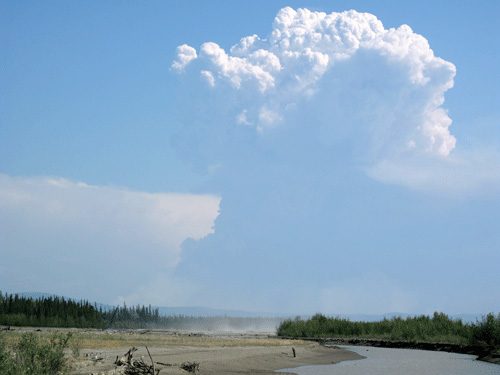 jpg Fire is a natural part of the boreal forest ecosystem