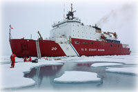 Unprecedented Blooms of Ocean Plant Life Discovered in Arctic Ocean 