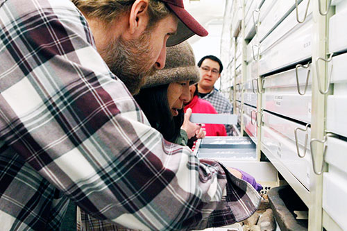 jpg UA Museum of the North Archaeology Curator Josh Reuther and Kaktovik resident Marie Rexford examine ivory and bone artifacts in the Barter Island collection