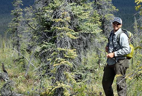 jpg Wilderness guide Garrett Jones of Fairbanks next to a spruce tree hosting a robin's nest at eye level. 