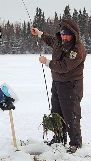 jpg Research will map risk of invasive aquatic weeds in Alaska 