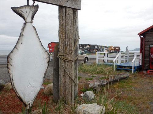 jpg Study: Halibut charters adapt to economics and regulations 