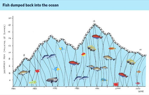 jpg Ten million tons of fish wasted every year despite declining fish stocks 