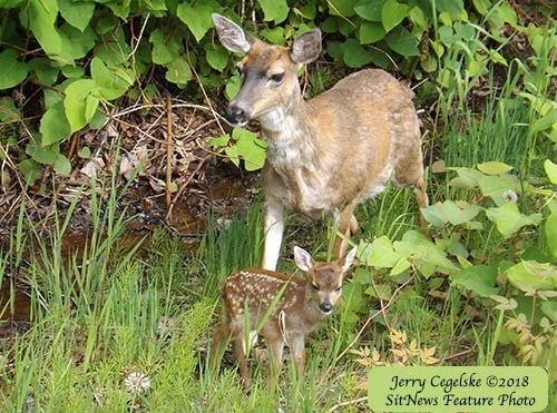 Front Page Feature Photo By JERRY CEGELSKE