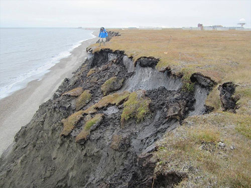 jpg New Study Provides the First Comprehensive, Long-term Look at Alaska’s Changing Ecosystems 